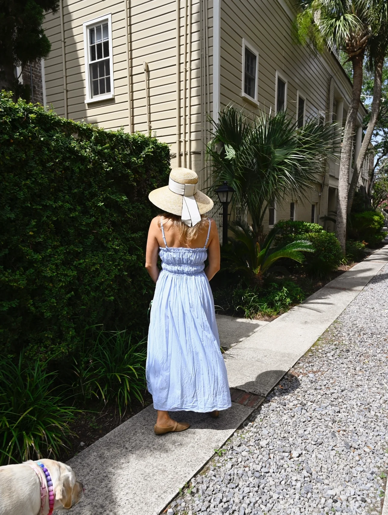 James Dress - Seaside Blue - Image 8